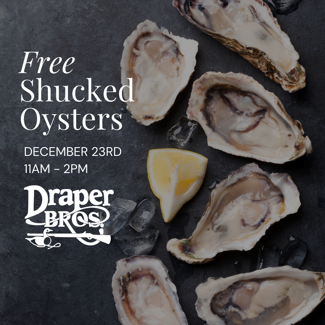 Free Shucked Oyster ad with the text "Free Shucked Oysters December 23rd 11AM to 2PM" with the Draper Bros. logo superimposed over an image of oysters.