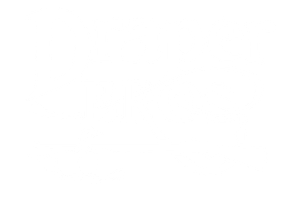 White Draper Bros Logo